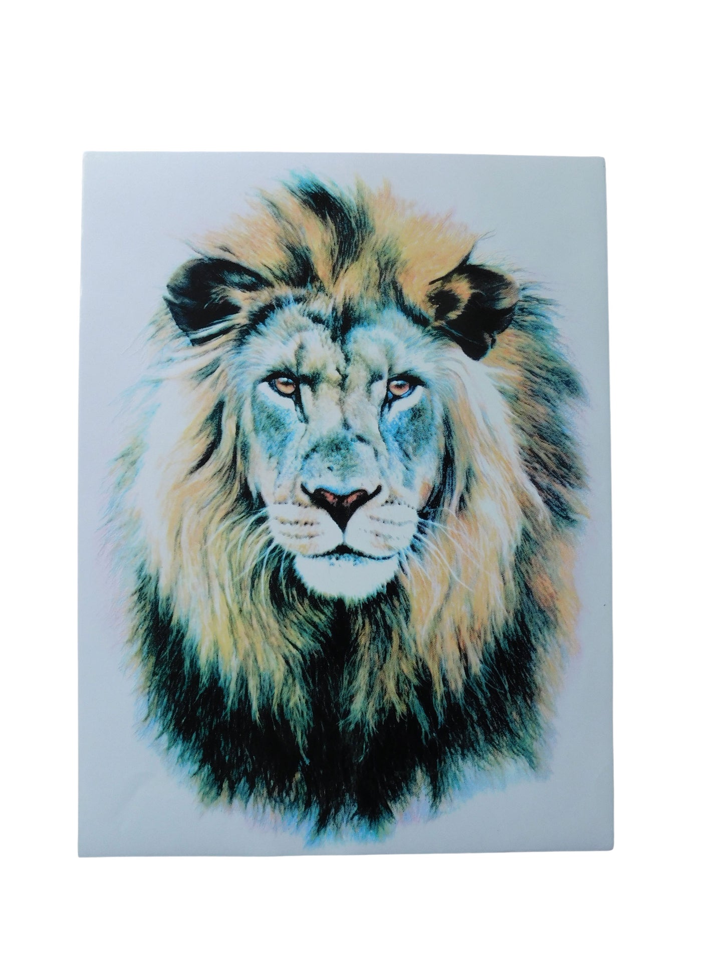 Lion Decal Sticker Motorcycle Scooter Skateboard Car Tuning Model Making self-adhesive F0001