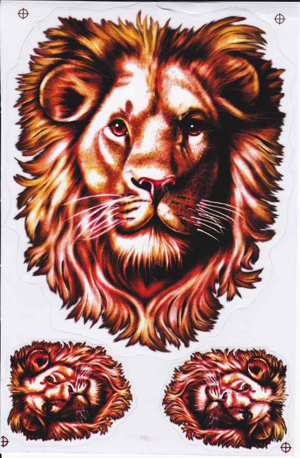 Löwe Lion Tiere Aufkleber Sticker Motorrad Roller Skateboard Auto Tuning selbstklebend 005