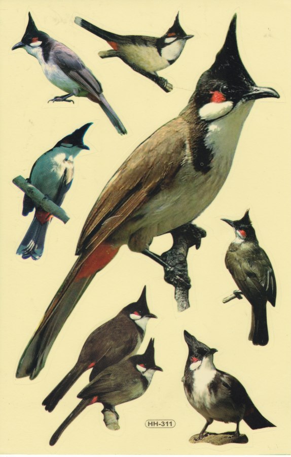 Specht Vogel Tiere Aufkleber Sticker für Kinder Basteln Kindergarten Geburtstag 1 Bogen 503