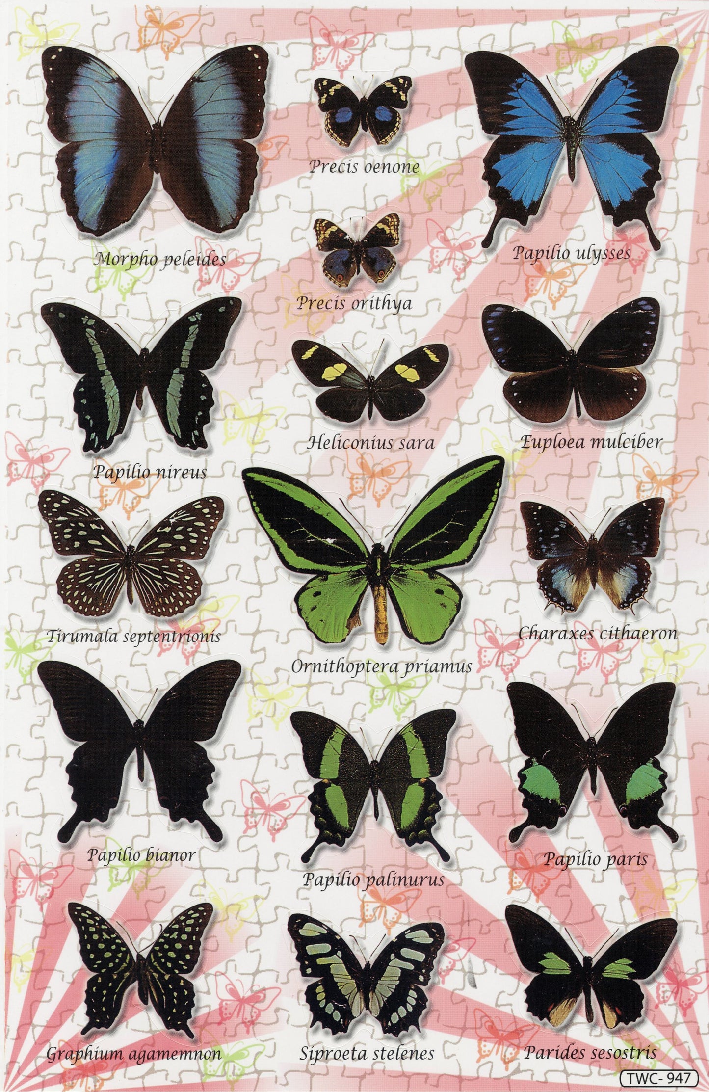 Butterflies Insects Animals Stickers for Kids Crafts Kindergarten Birthday 1 Sheet 522