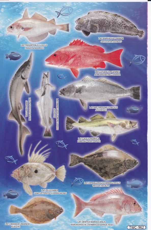 Fische Meer Aquarium Fisch Tiere Aufkleber Sticker für Kinder Basteln Kindergarten Geburtstag 1 Bogen 117