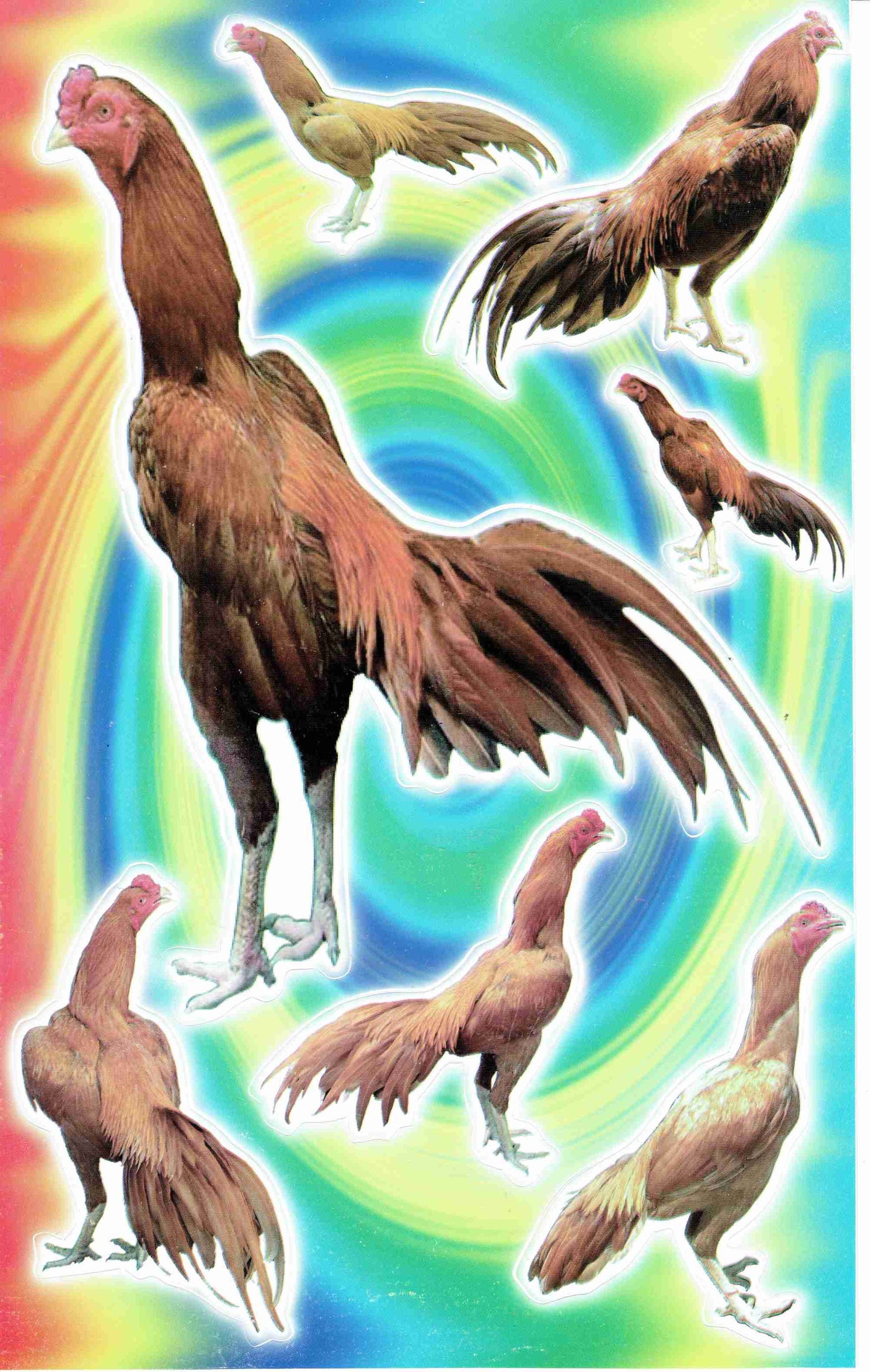Chicken chickens rooster animals stickers stickers for children crafts kindergarten birthday 1 sheet 275